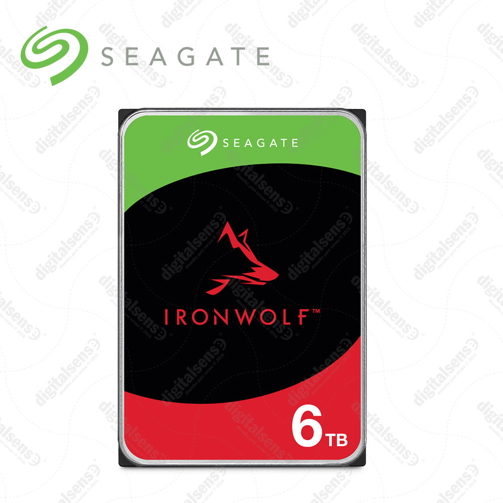IRONWOLF-+-Rescue-6TB-a