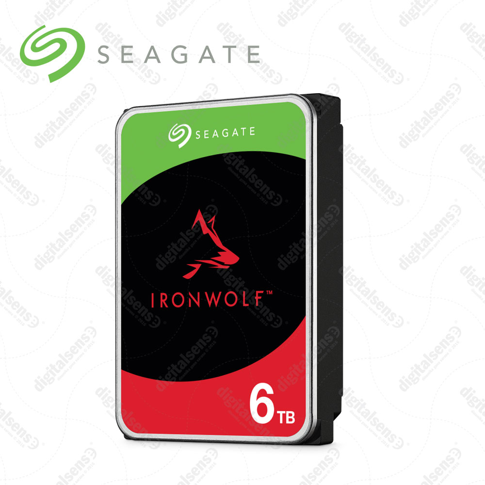 IRONWOLF-+-Rescue-6TB-b